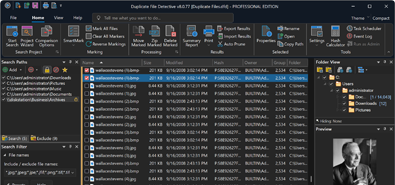 Duplicate File Detective