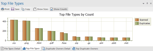Duplicate File Types Report