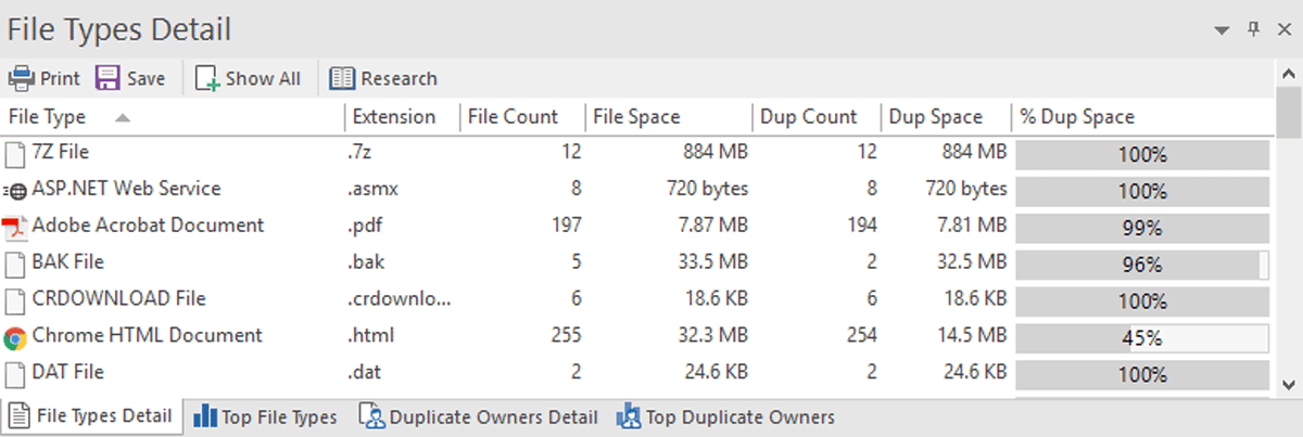 Duplicate File Types Report