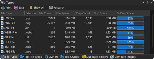 Duplicate file types report showing duplicate count and wasted space by file type