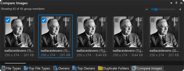 Image comparison panel showing a duplicate photo group as thumbnails