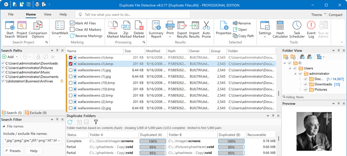 Duplicate File Detective