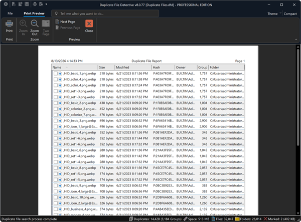 Print preview of a duplicate file report before sending it to the printer